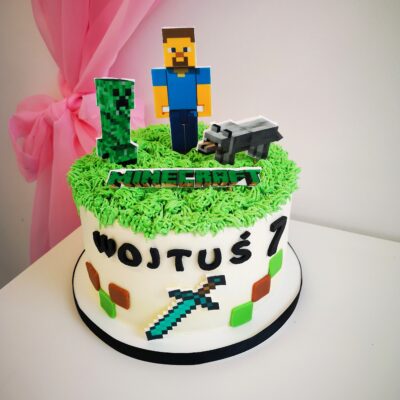 Tort Minecraft