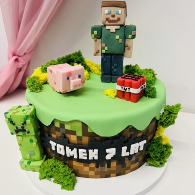 Tort Minecraft